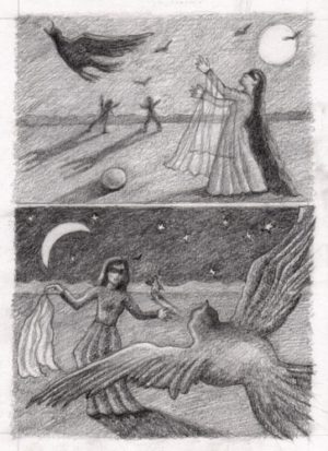 Illustration for The Circus by Susanna Plotnick