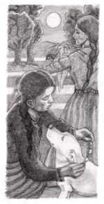 Illustration for The Circus by Susanna Plotnick